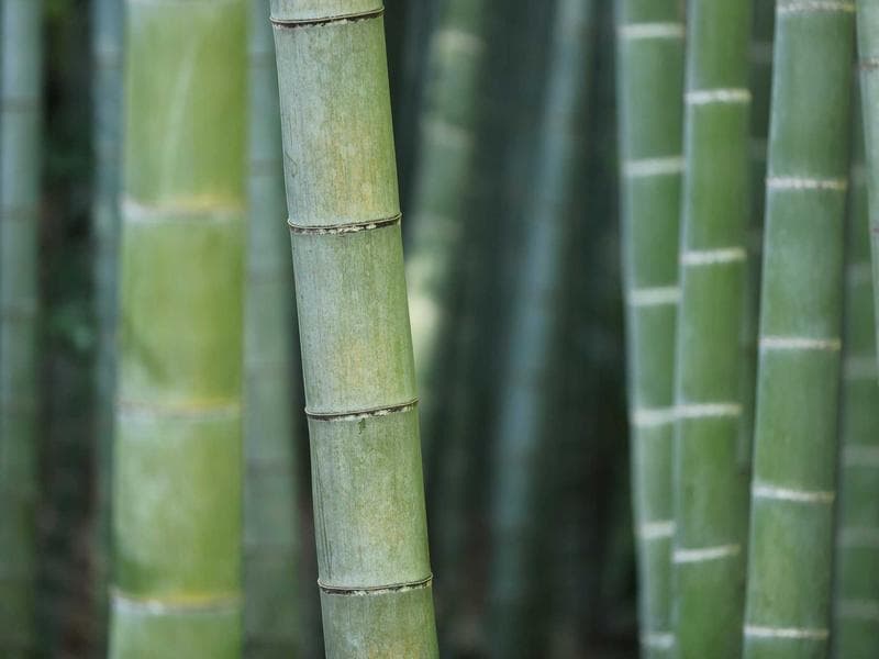 Triumph Street Triple 765 RS — Arrow Race-Tech full exhaust (2017–2022)